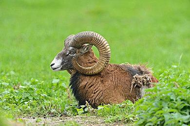 传闻称Switch2将通过系统更新推出付费与免费主题